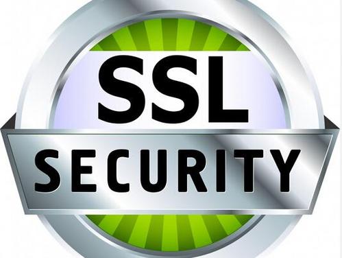 查看SSL证书到期日期